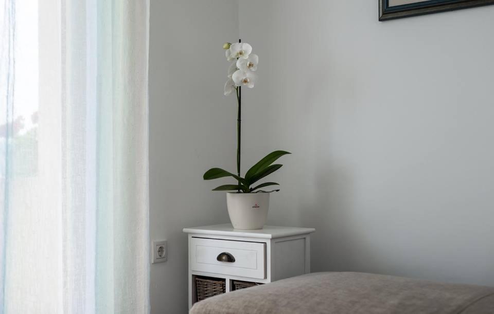 Dora Apartament *